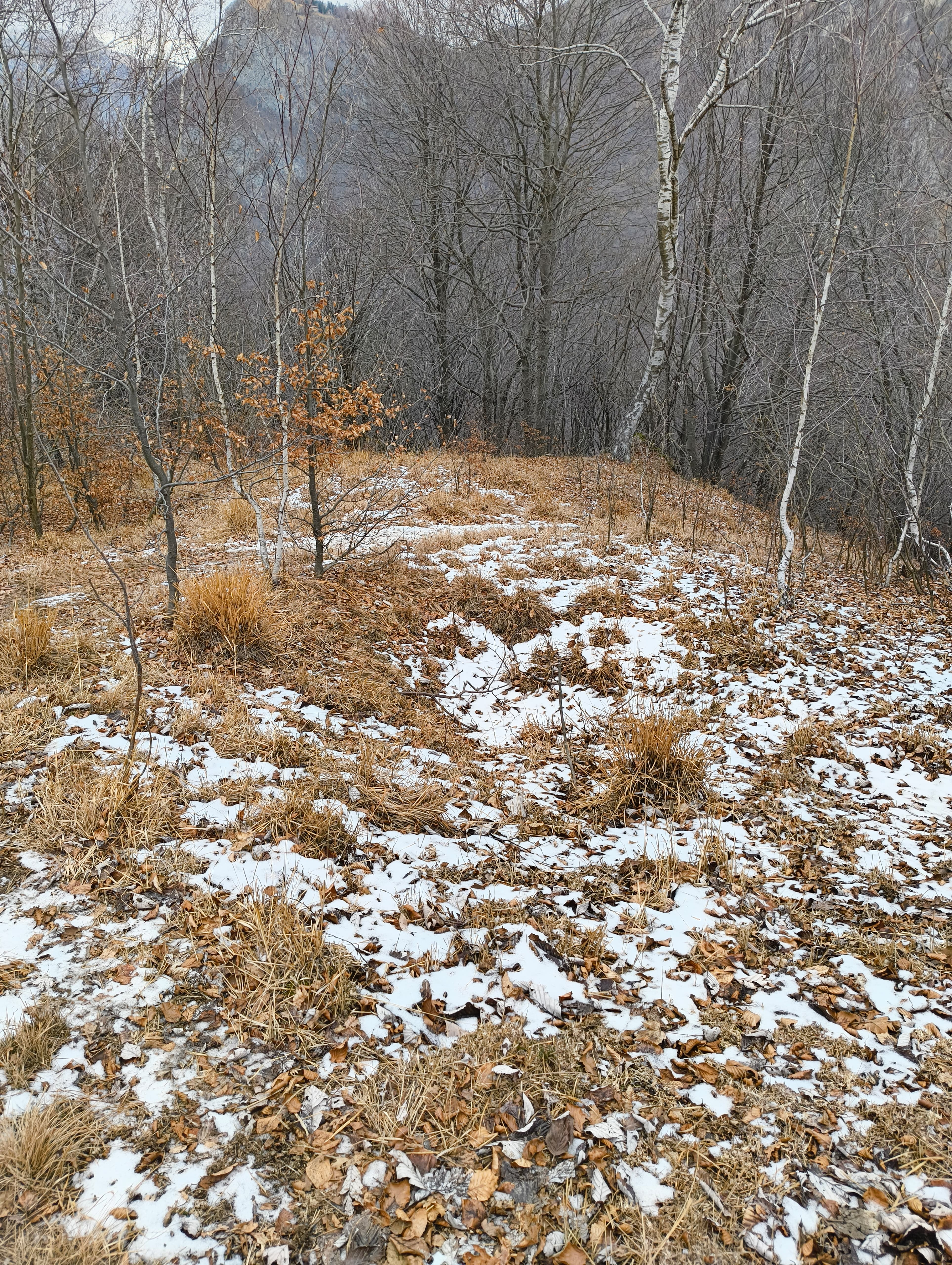 Foto n° 8 del trekking Magnodeno │ Passo del Fò